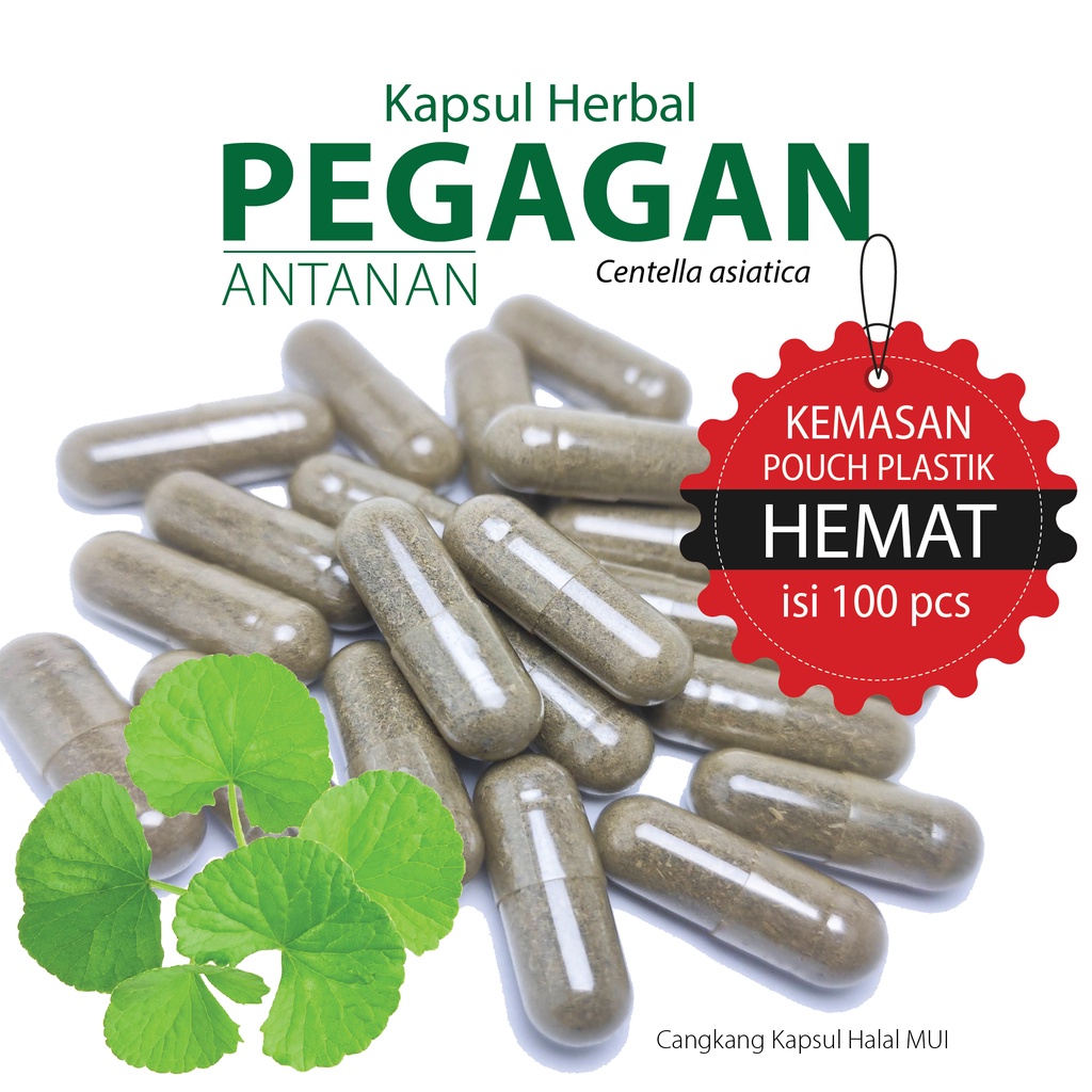 PEGAGAN / ANTANAN Kapsul Herbal Kemasan Hemat - isi 100