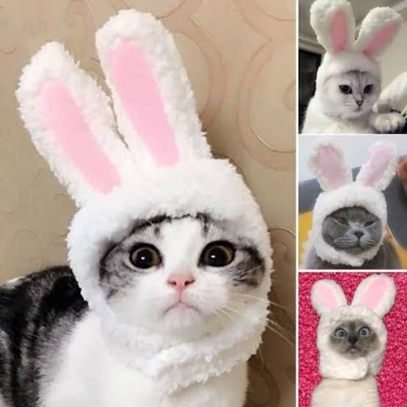 [FREE BONUS]Topi Kelinci Kucing/Anjing Cat Bunny Ears Lucu