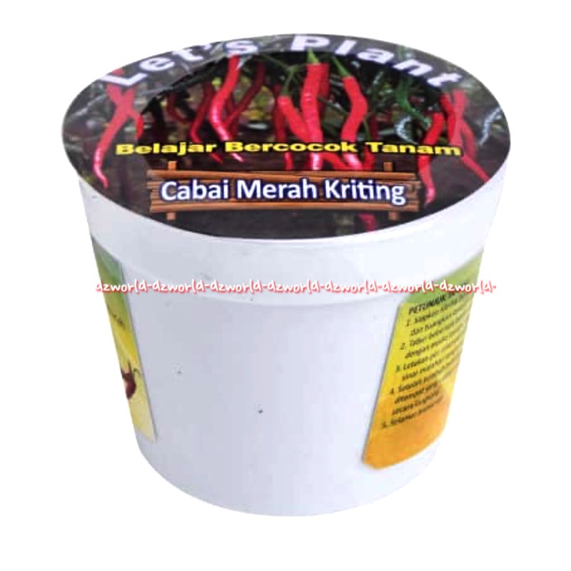 Let's Plant Sun Flower Seledri Cabai Merah Keriting Bayam Merah Belajar Bercocok Tanam Tanaman Benih Di Pot Sunflower Lets Plants