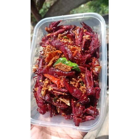 

belalang kayu rasa super pedas dan gurih