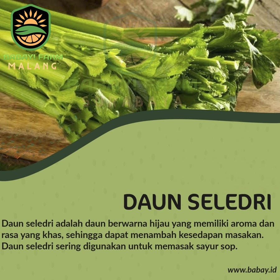 

Daun Seledri / Sledri 1 Ikat