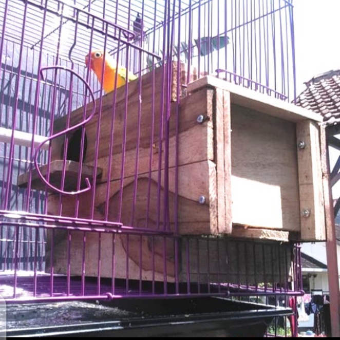 Kandang Burung Glodok Pantao Kaca Burung Lovebird