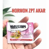 WAUXSIN Zpt Hormon akar