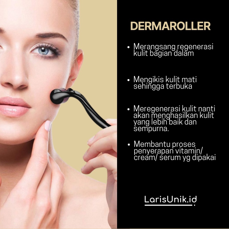 Alat Kecantikan Perawatan Kulit Wajah Dermaroller Alat Roller Facial Wajah Kecantikan Kulit