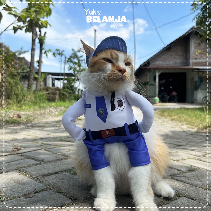 Baju Kucing Bahan Poliester Kostum Anak Sekolah SMA Tank Series Terlucu Baju Kucing anjing kelinci Lucu murah Size XS-XL / Yuk Belanja Gaes!