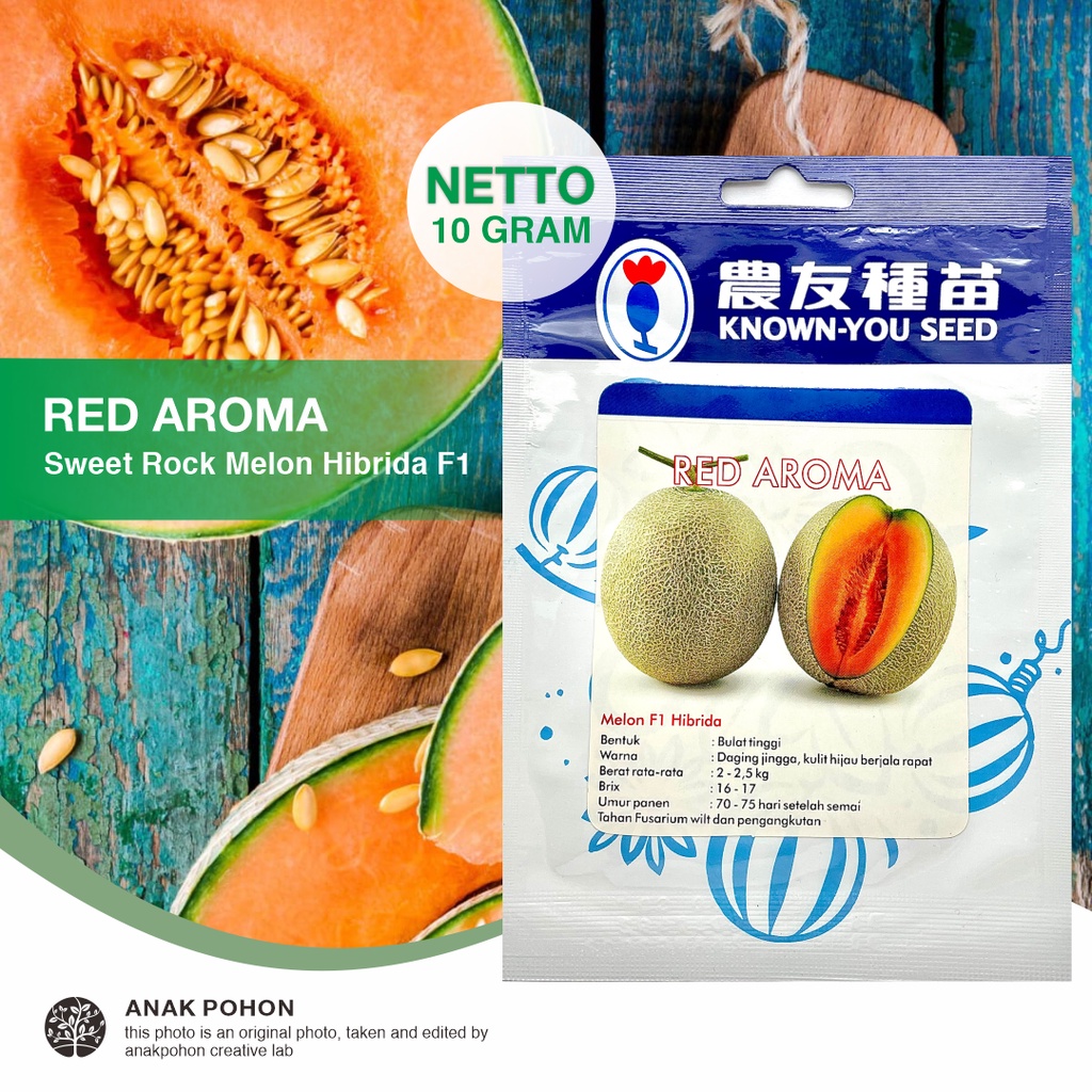 (1 PACK - 10 GRAM) Benih Melon Red Aroma F1 Hibrida Oranye Seeds - Known You Seed KYS