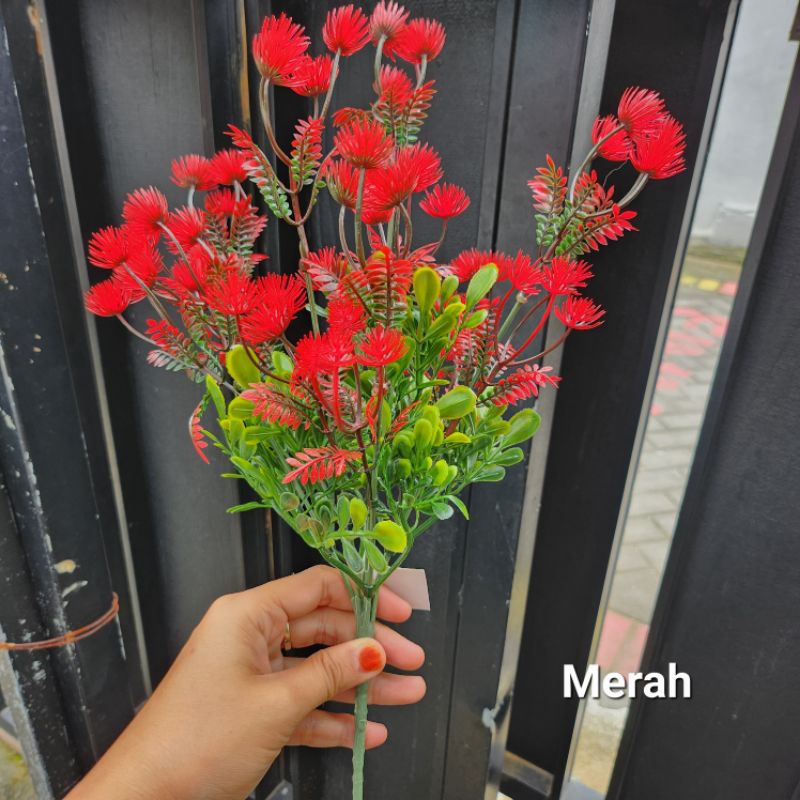 Daun Pir Berduri x7 / Daun Pakis Ulat