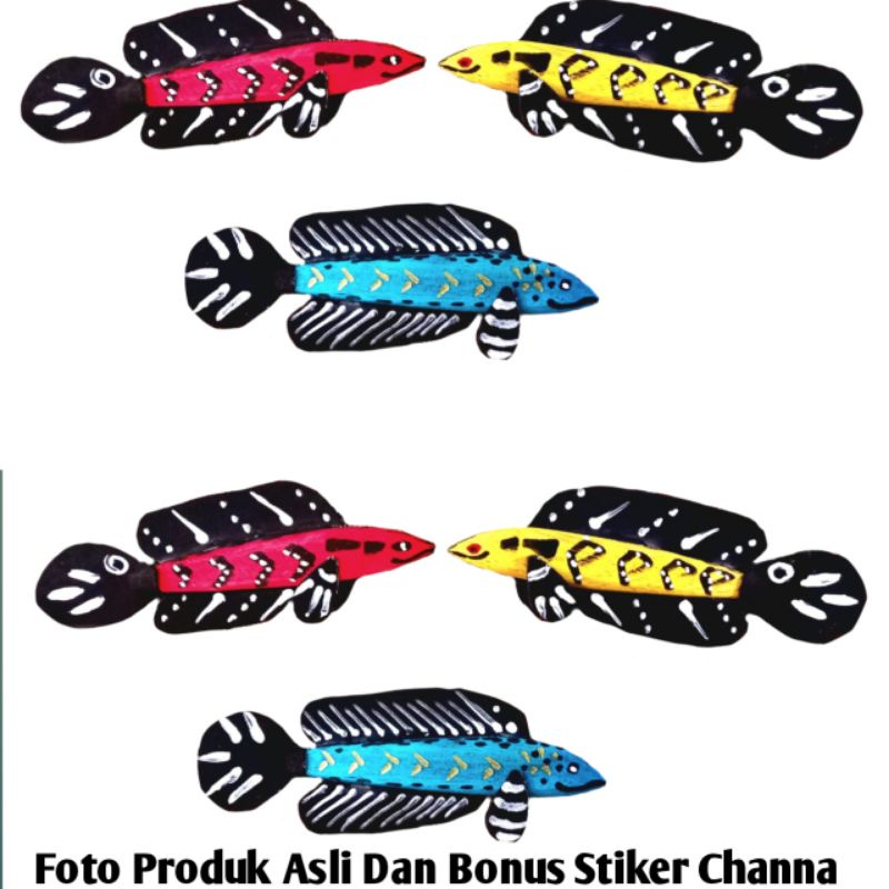 PATUNG CHANA LUCU YELLOW SENTARUM,BARITO,PULCRA