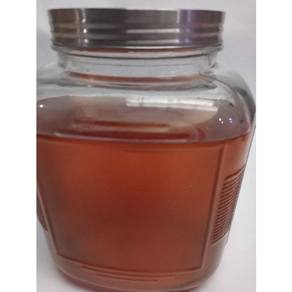 KOMBUCHA GREEN TEA 250 ML minuman fermentasi teh