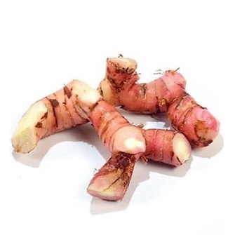

Buruan beli] Lengkuas Segar / Galangal Fresh / Lengkoas