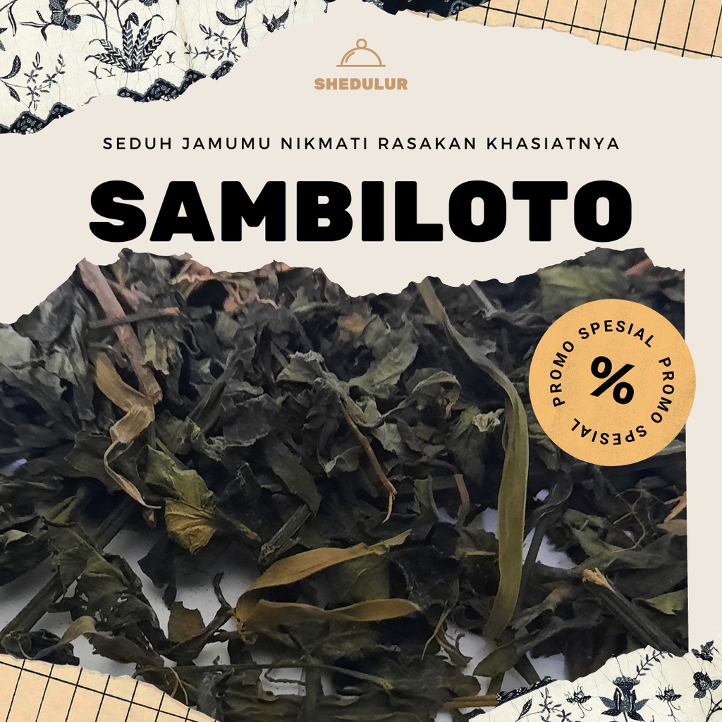 

Rempah Kering Sambiloto