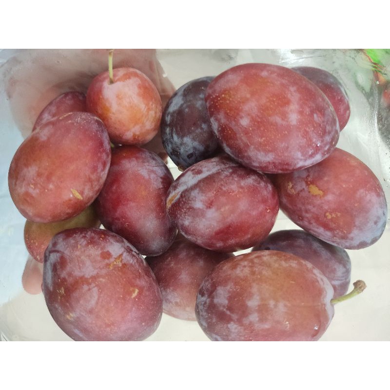 

Buah Plum Sugar Pasti Manis 500 Grm 1 Pack