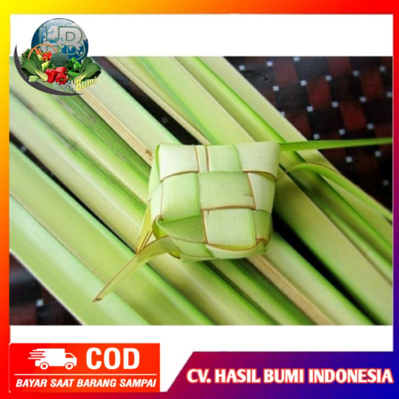 

cangkang ketupat Janur kelapa untuk bahan kupat atau lontong