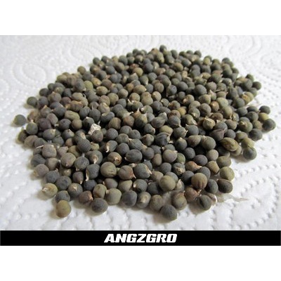 ANGZGRO Okra Ladys Finger 10 Seeds