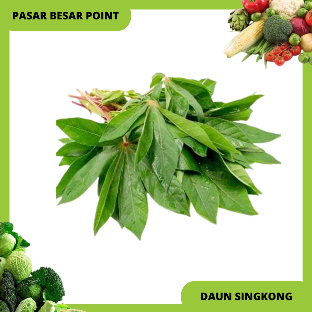 

daun singkong