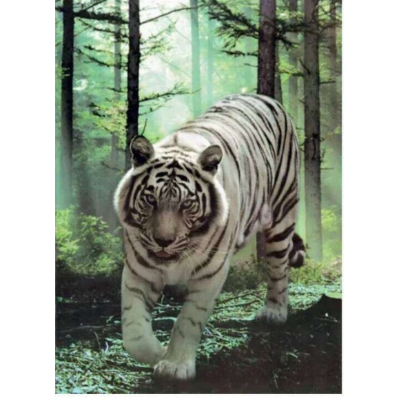 poster cetak harimau putih buat hiasan dinding dan dekorasi rumah