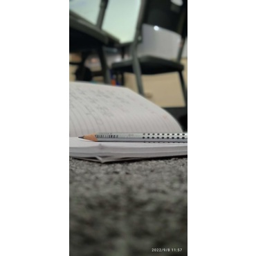 

pensil lyra