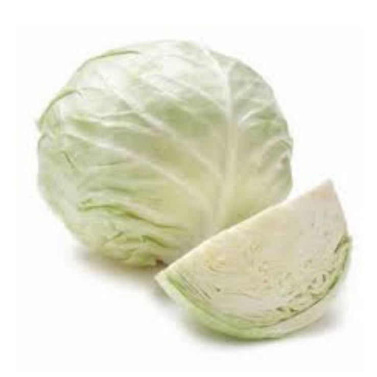 

KOL PUTIH FRESH 1000gr