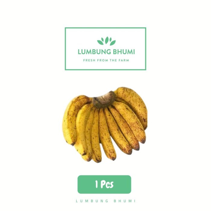 

Lumbung Bhumi - Pisang Barangan 1 Pcs ( Buah Curah )