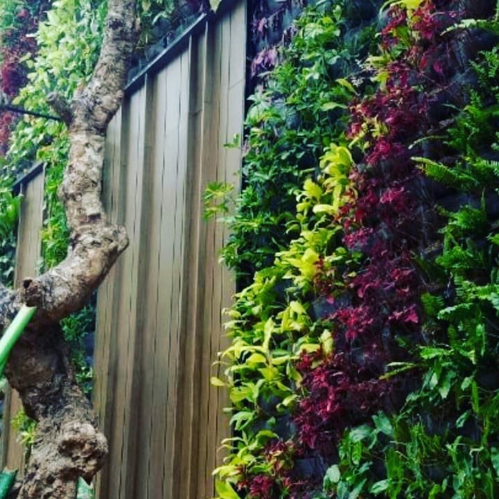 Karpet vertical garden warna hitam