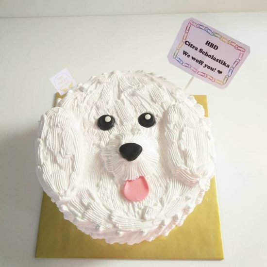 

Kue Anjing Maltese