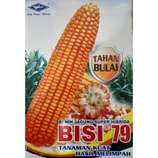 Benih Jagung Bisi 79 ULTIGROW Jagung Tahan Busuk Batang Jagung Anti Bulai