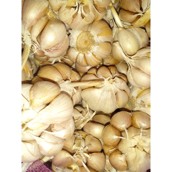 

bawang putih 1000gram/1kg fress