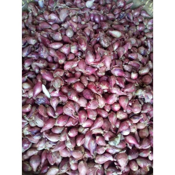 

Bawang Merah Ukuran Sedang 1/4kg