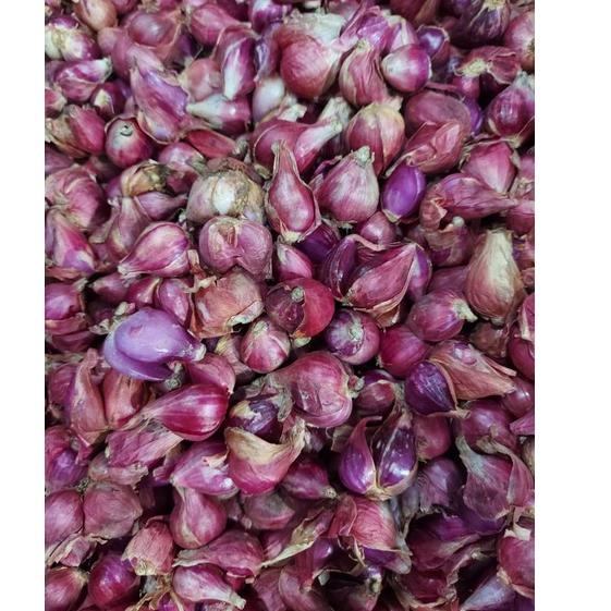 

Trx7d7Cr BAWANG BREBES UKURAN SEDANG 1KG