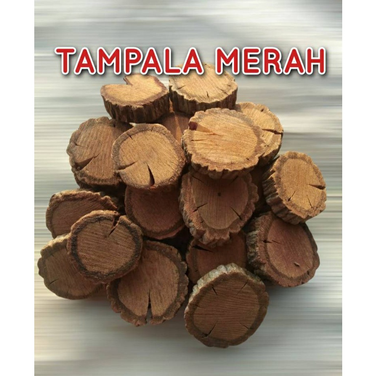 

BAJAKAH TAMPALA