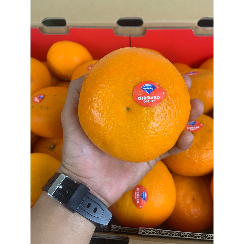 

Jeruk Murcot China Berat Bersih 8,5 kg Gift Box