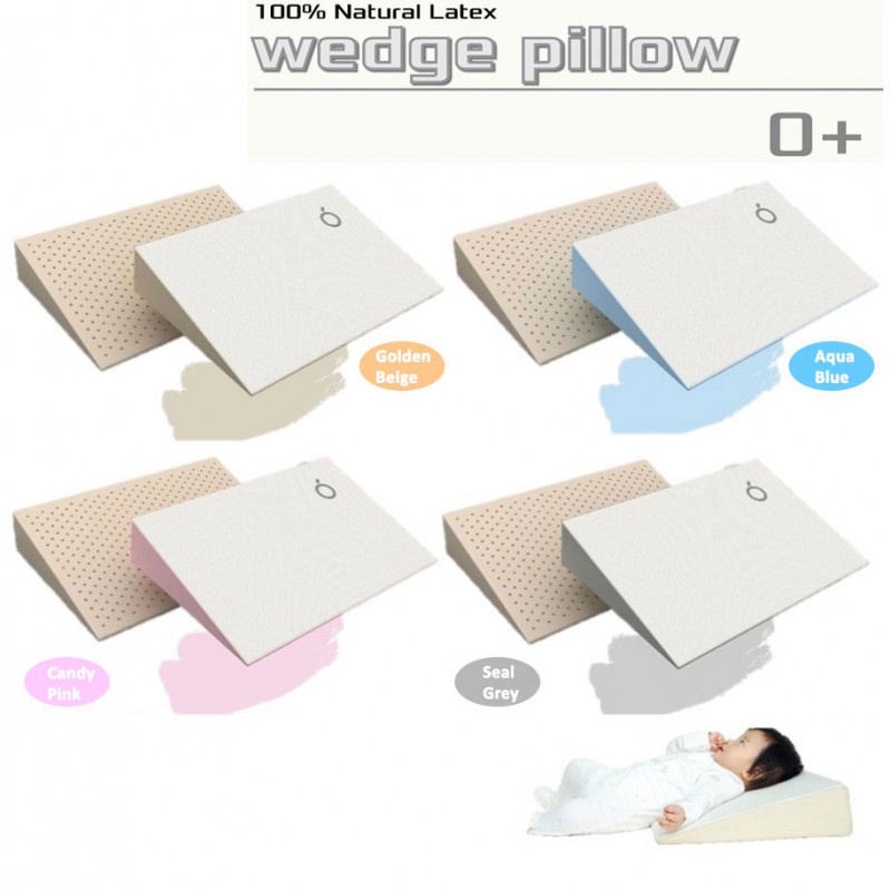 DOOGLEE Wedge Pillow with Case