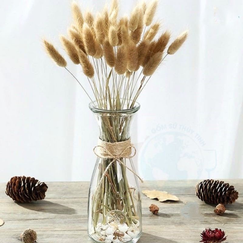 Vas Bunga Kaca Bening Tinggi Besar / Vas Tali Rami Aesthetic