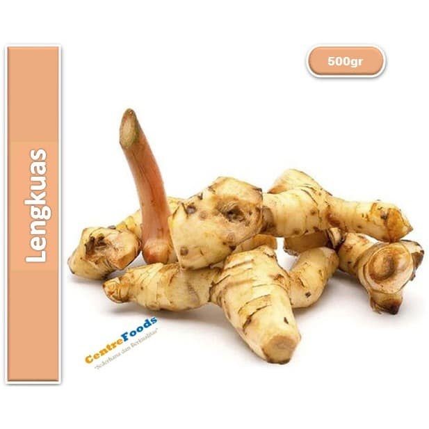 

Lengkuas - Laos Fresh | 500gr [ Harga Per 0,5 Kg ]