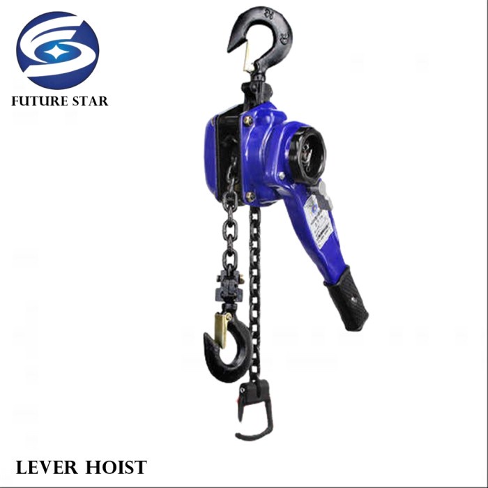 Katrol Lever Hoist 3 Ton 3 Meter