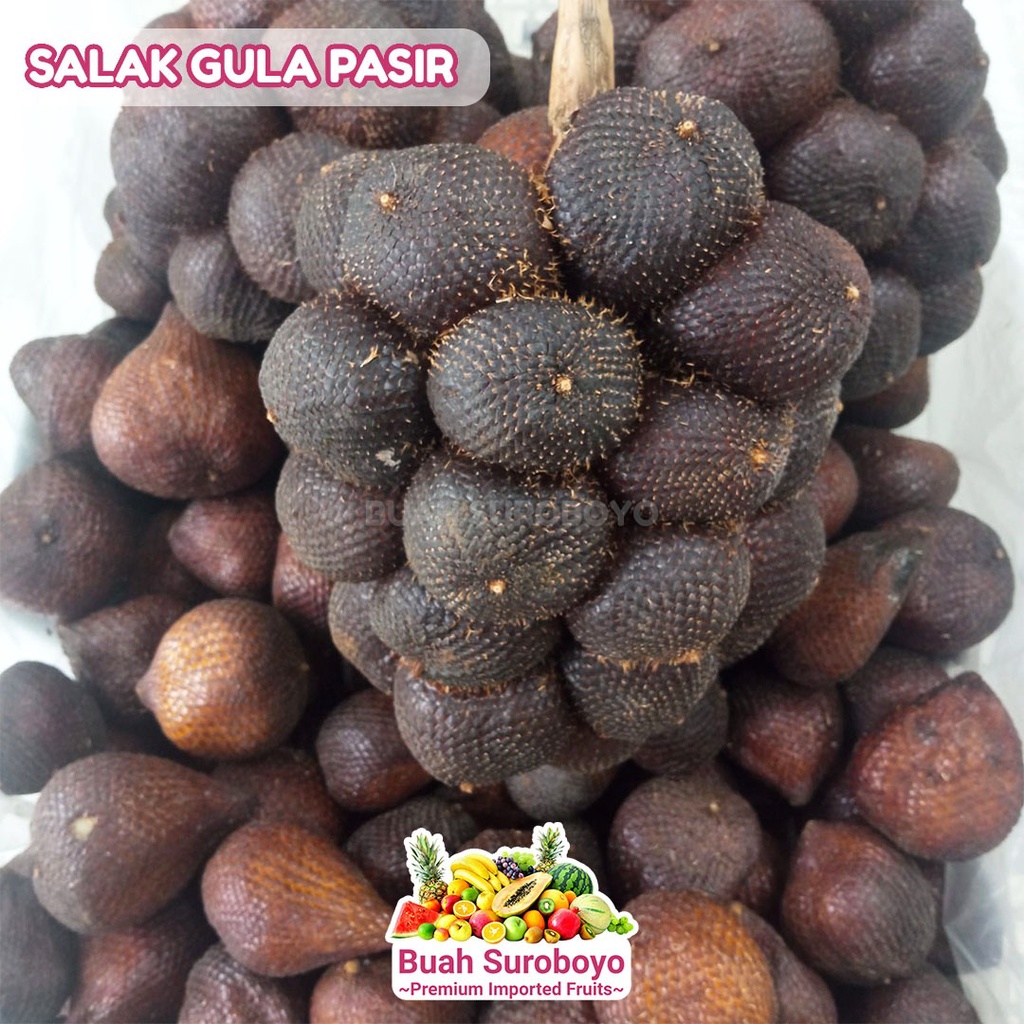 

Salak Gula Pasir