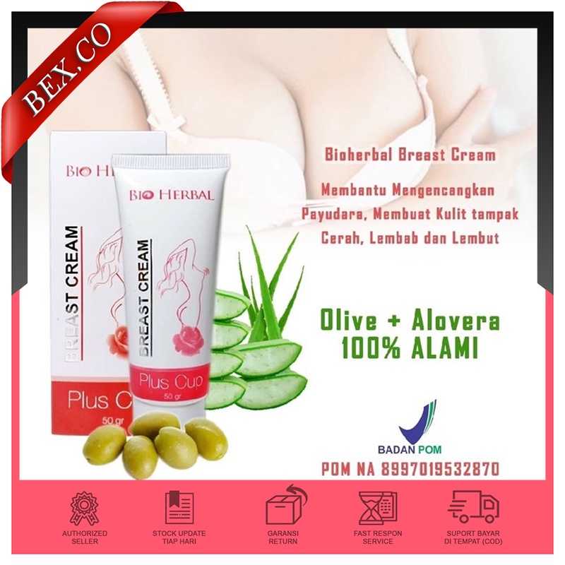 [BISA COD] BIO HERBAL - BREAST CREAM ORIGINAL BPOM