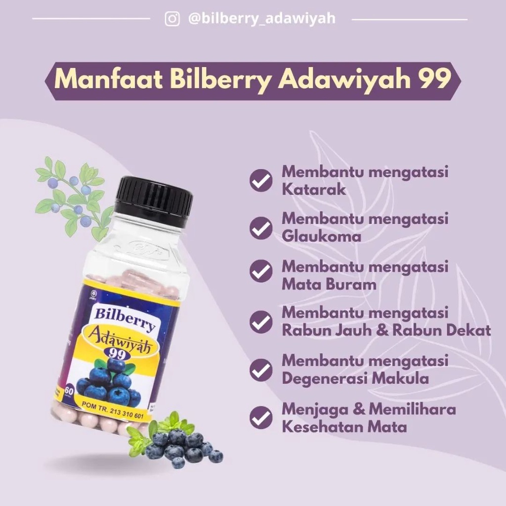 Bilberry Addawiyah 99  60 Kapsul - Herbal Kesehatan Mata membantu mengatasi mata Buram &amp; Katarak