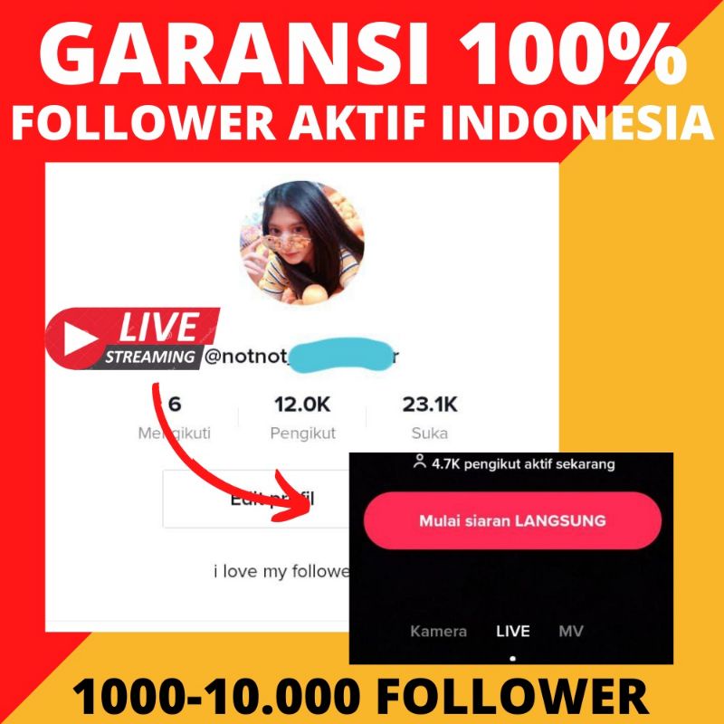 Akun Tiktok Follower Fyp Permanen