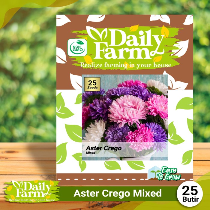 [Bibit] Benih Bunga Aster Crego Mix - Daily Farm
