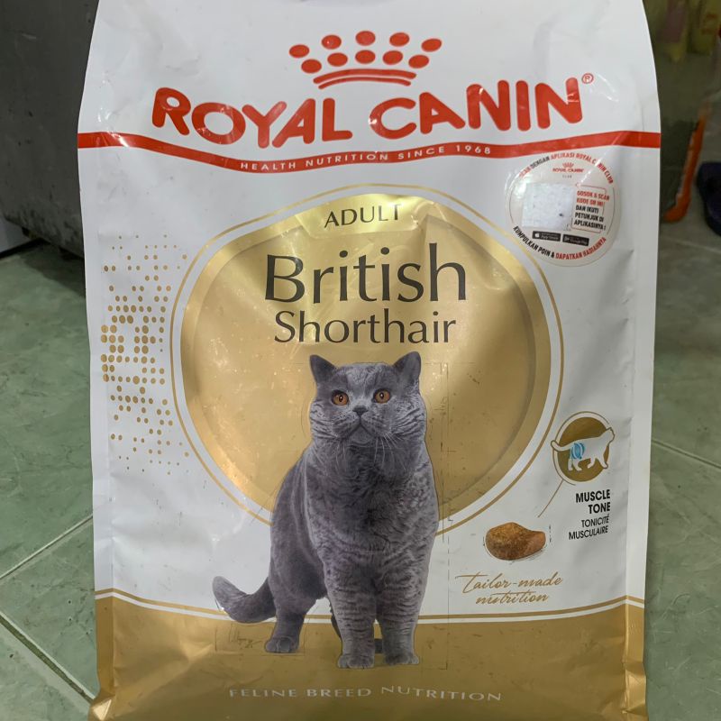 Royal Canin British Short hair Adult 4kg - Promo Price