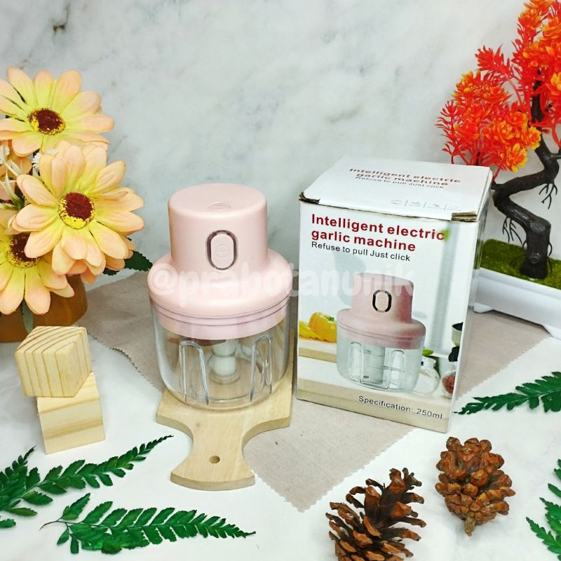 Viral Blender Bumbu Mini Serbaguna Meat Grinder Portable Usb Tanpa Menggunakan Listrik 250ml