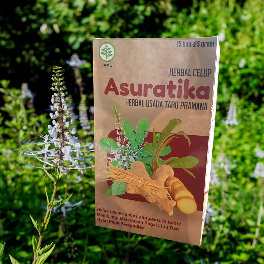 

Teh untuk Asam Urat dan Rematik (ASURATIKA) 100% herbal alami yang di tanam dan di proses secara baik