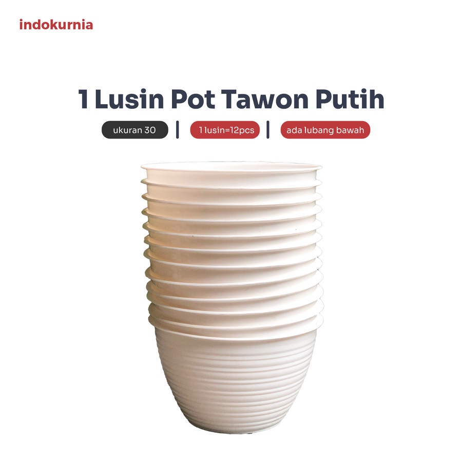 IK - 12PCS POT TAWON PUTIH POT TANAMAN PIRUS TAWON MADU HITAM 30 CM