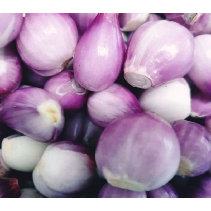 

Bawang Merah Kupas (250 Gram)
