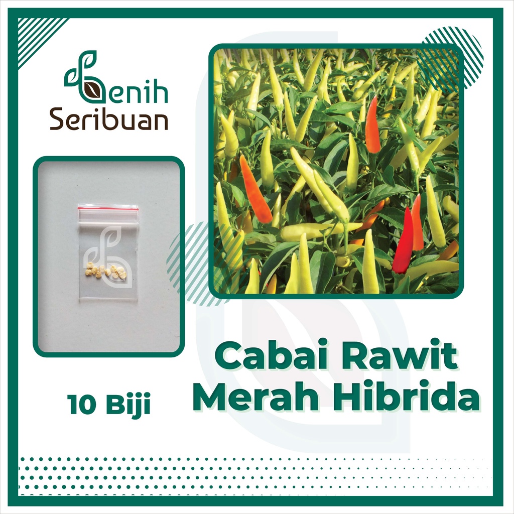 Benih Seribuan - 10 Bibit Cabe Rawit Merah F1 Hibrida