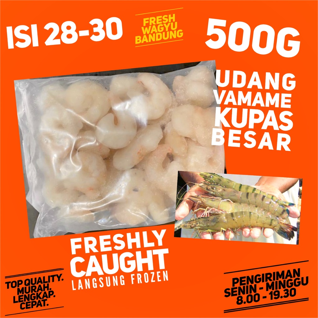 Jual Udang Vaname Kupas Besar Fresh Premium Shrimp Prawn 500g Resto