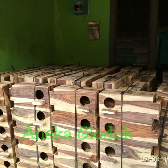 Kandang Burung Glodok Falk, Sun Conure Dan Betet