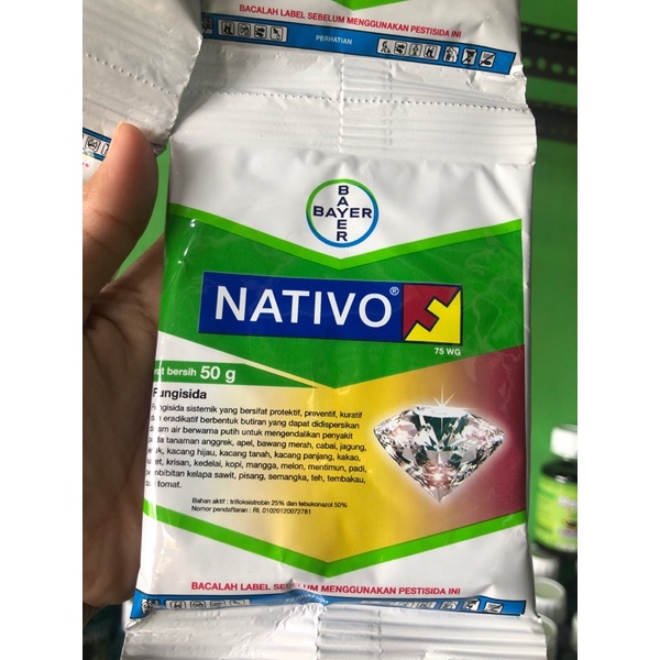 NATIVO @50GRAM FUNGISIDA