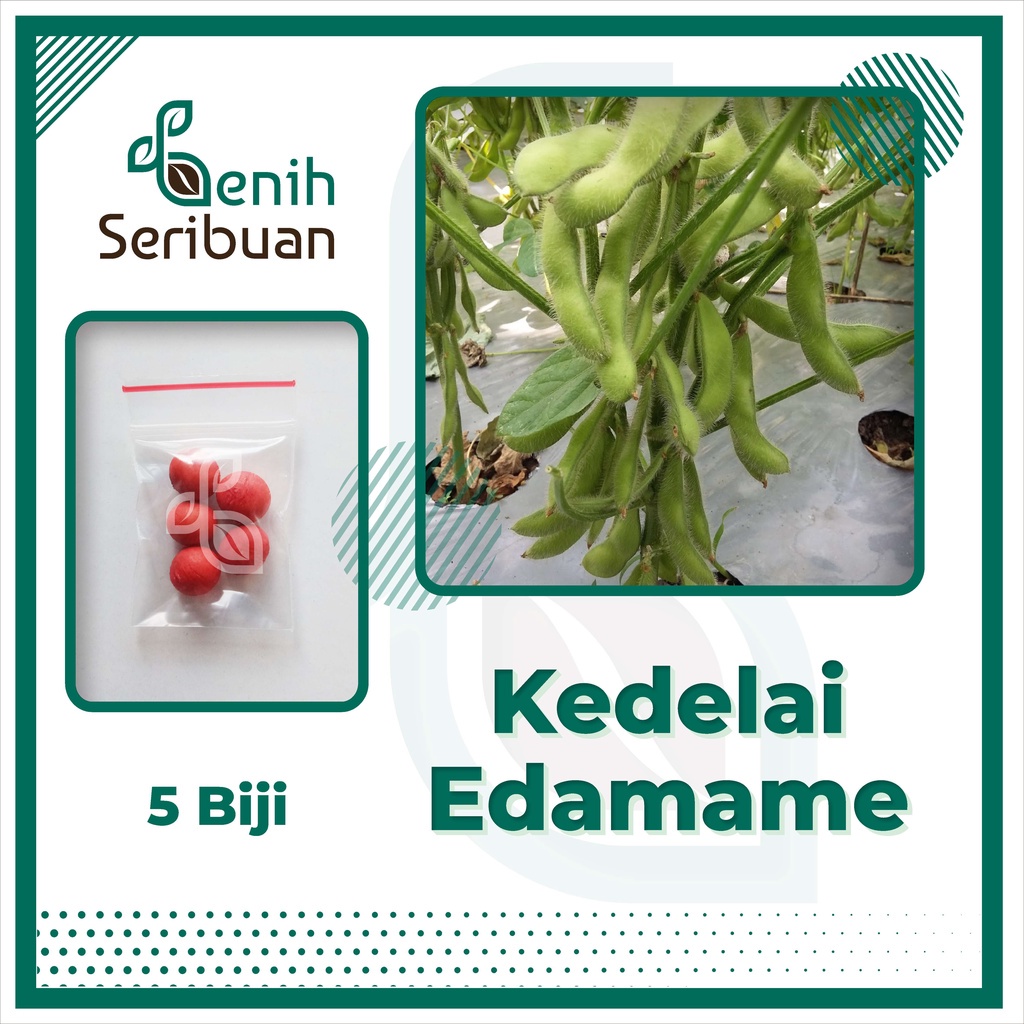 Benih Seribuan - 5 Bibit Sayuran Kedelai Edamame Unggul